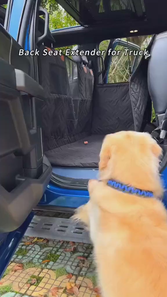 UGC: A golden retriever settles in across the back seat